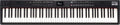 Roland RD-88 EX stage piano